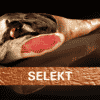selekt rohschinken