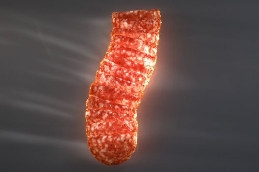 Ariatella Salami