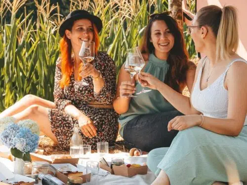 Vulcano Picknick
